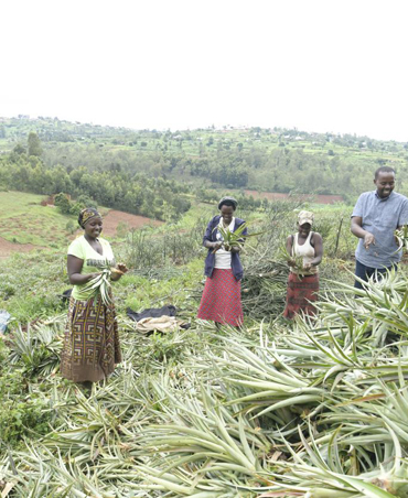 Circular Farming Demonstration Sites